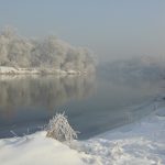 fot11
